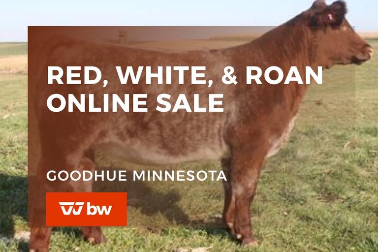 Breeders World Auctions