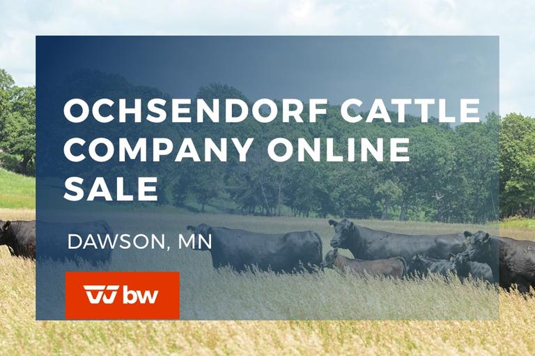 Breeders World Auctions