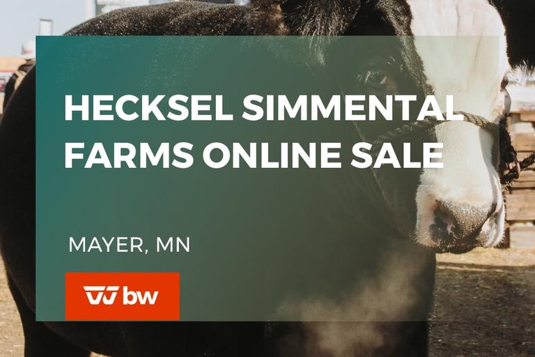 Breeders World Auctions