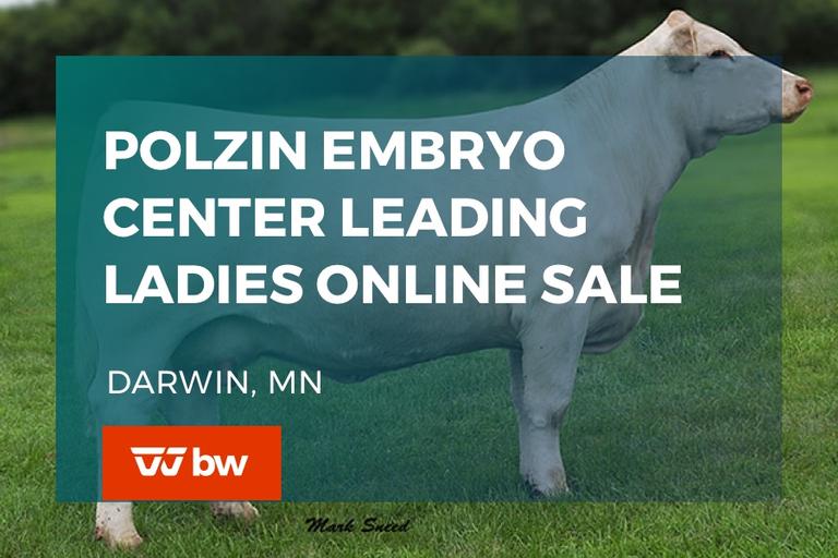 Breeders World Auctions