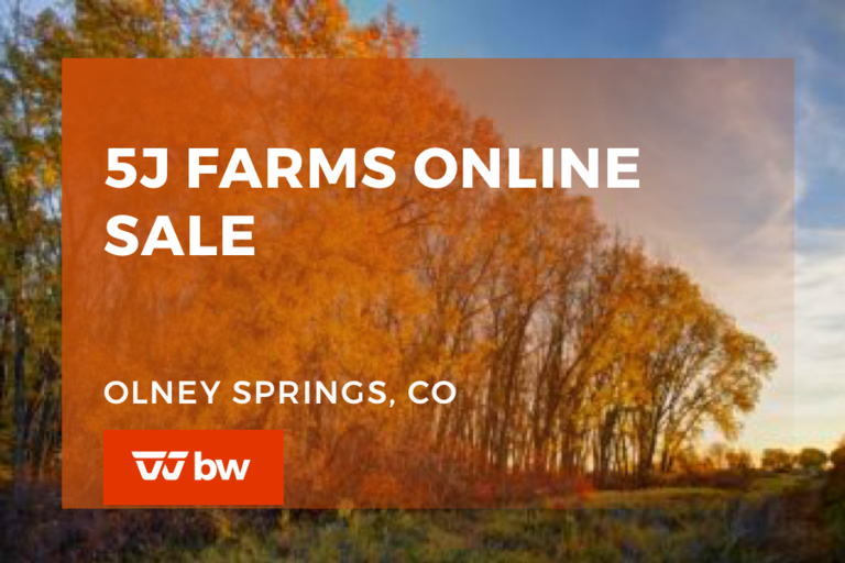 Breeders World Auctions