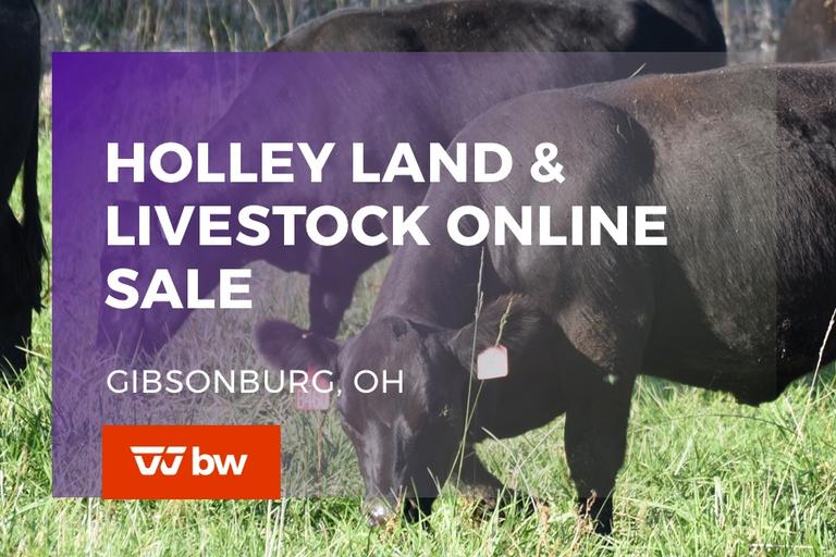 Breeders World Auctions