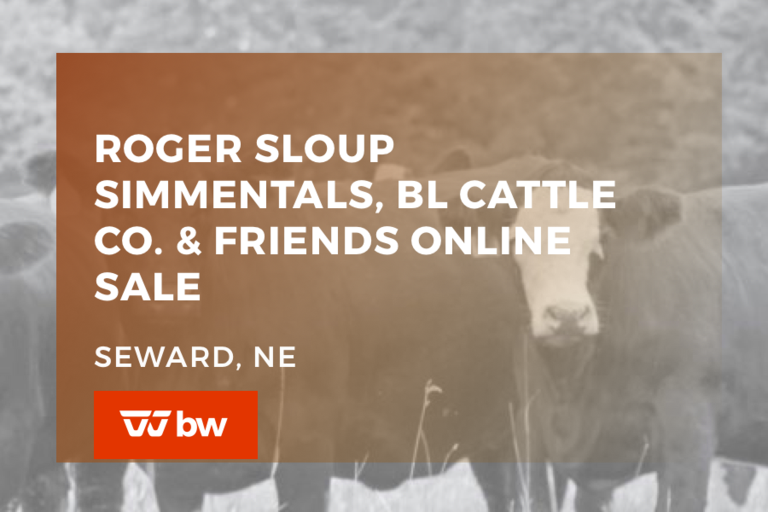 Breeders World Auctions