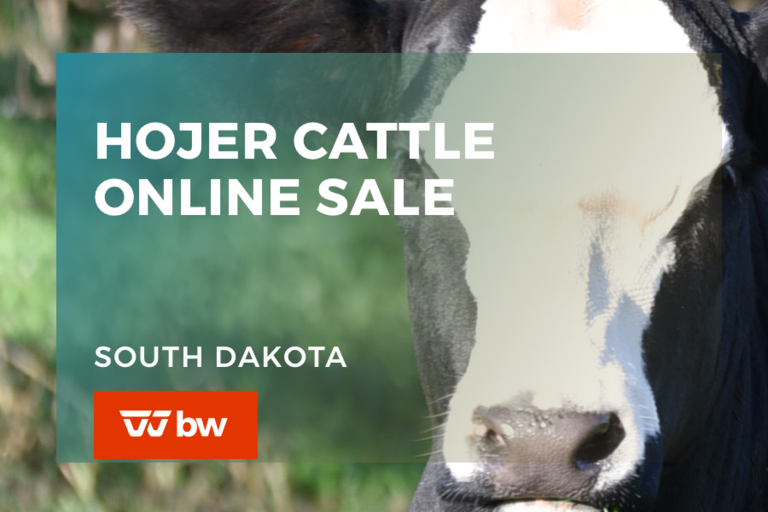 Breeders World Auctions