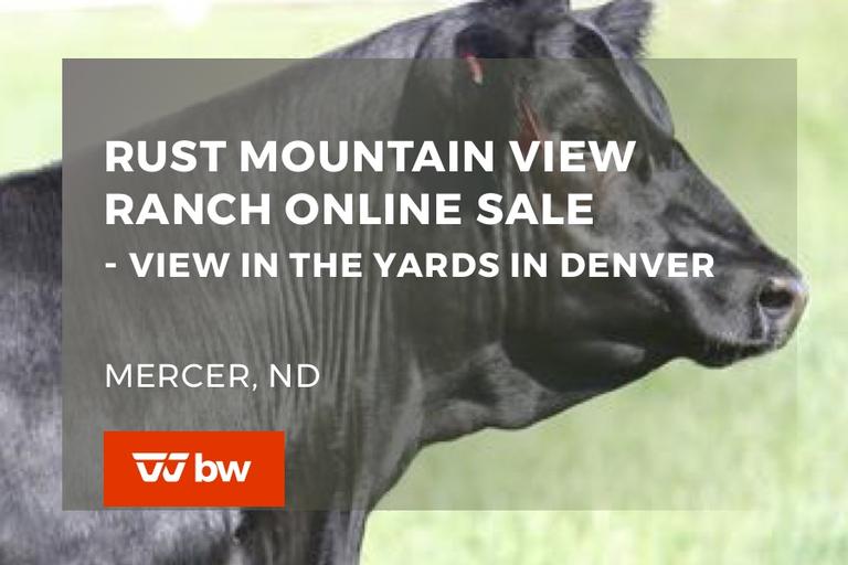 Breeders World Past Auctions