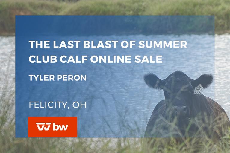 Breeders World Auctions