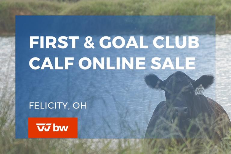 Breeders World Auctions