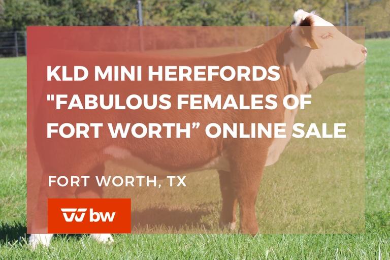 Breeders World Auctions