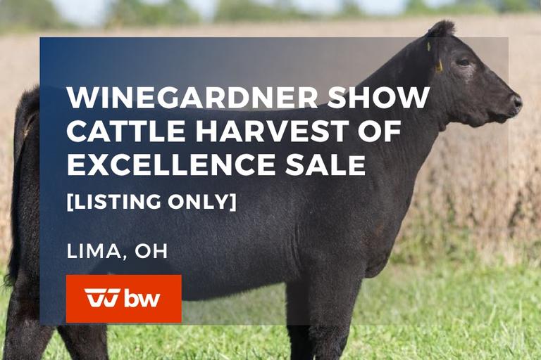 Breeders World Auctions