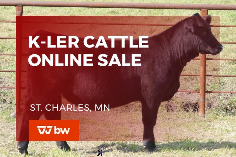 Breeders World Past Auctions