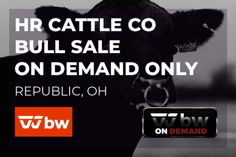 Breeders World Auctions