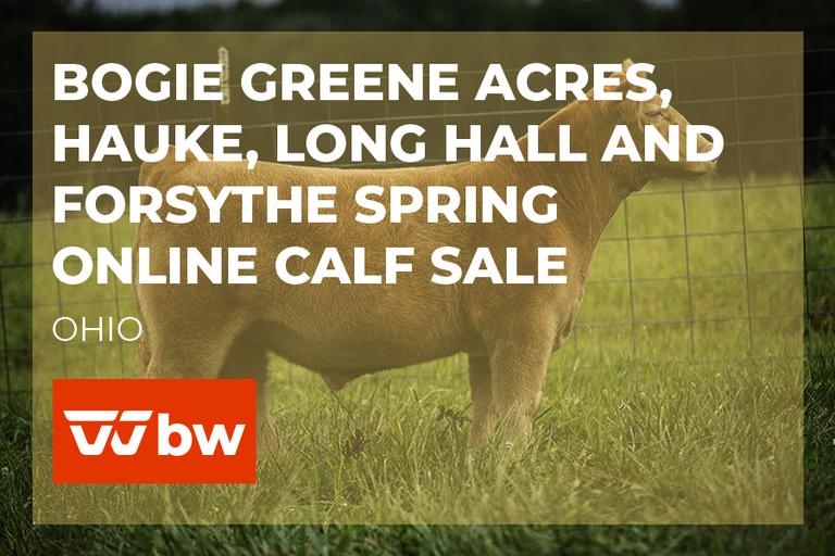 Breeders World Auctions