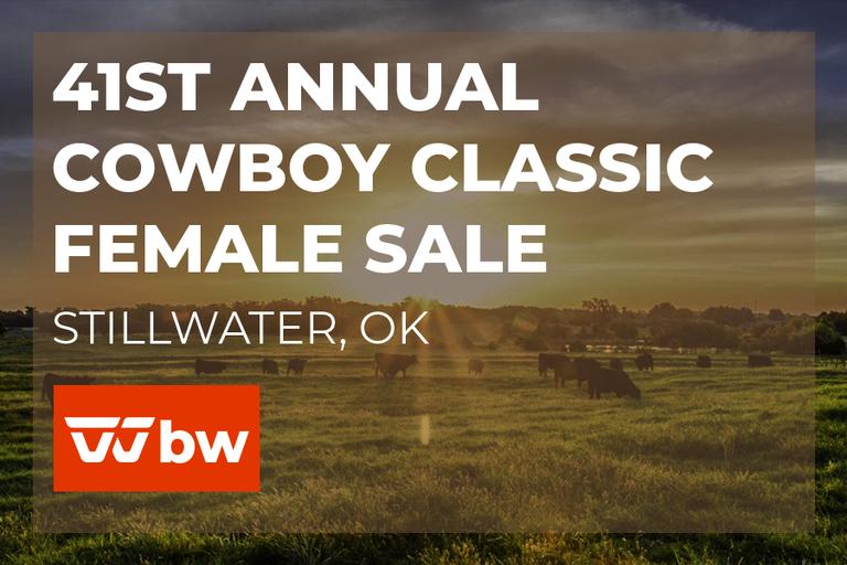 Breeders World Auctions