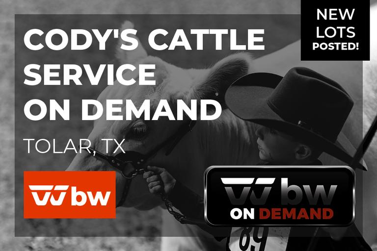 Breeders World Auctions