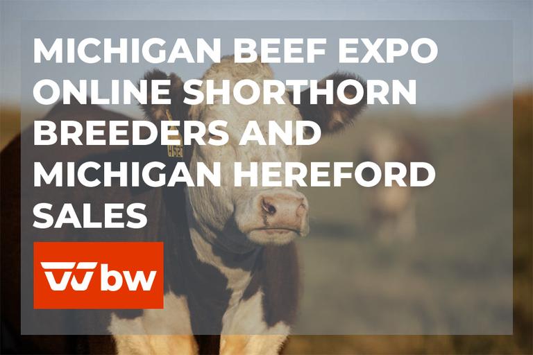 Breeders World Past Auctions