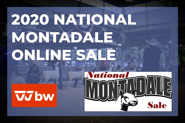 Breeders World Auctions