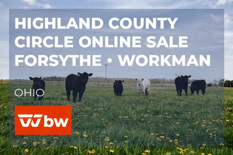 Breeders World Auctions