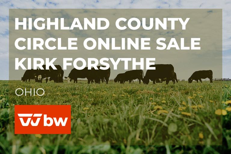 Breeders World Auctions