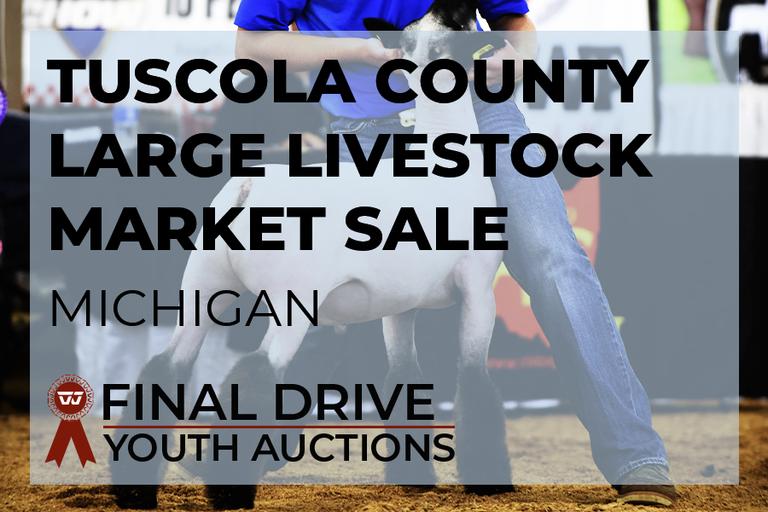 Breeders World Past Auctions