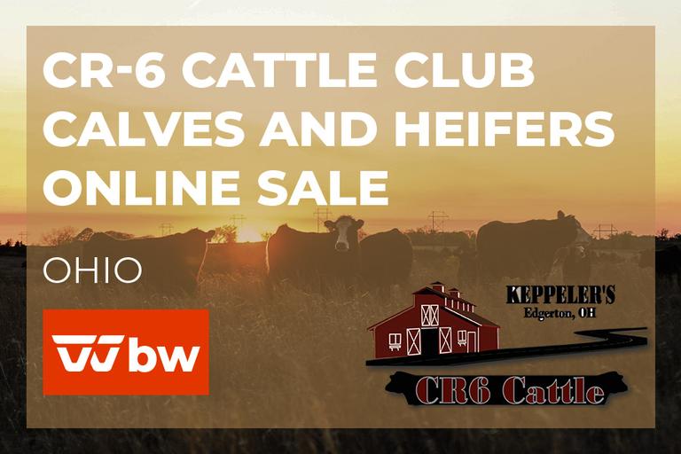 Breeders World Auctions