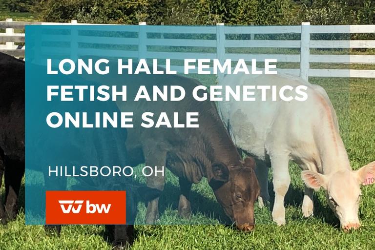 Breeders World Auctions