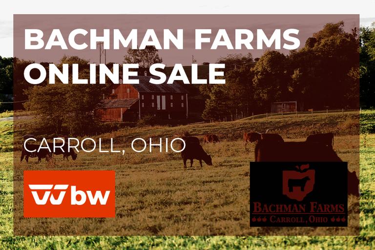 Breeders World Auctions