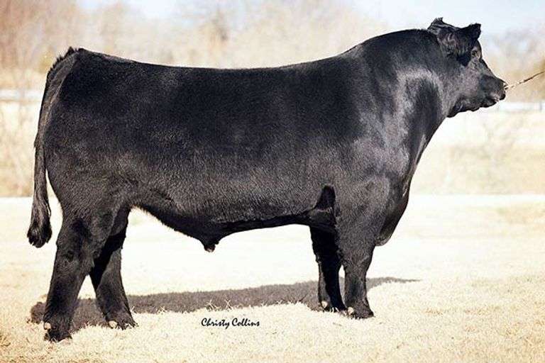 Northern Improvement 4480