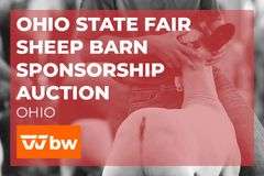 Lower Show Ring Banner - Lower
