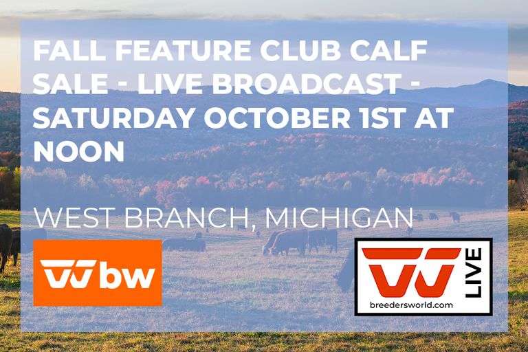 Fall Feature Club Calf Sale - LIVE BROADCAST - October 1, 2022
