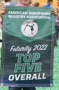 2 Top Five Futurity Sponsorship