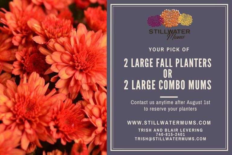Stillwater Mums Gift Certificate