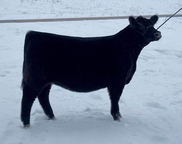THL Marlee 15M