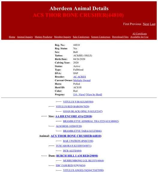 ACS Thor Bone Crusher